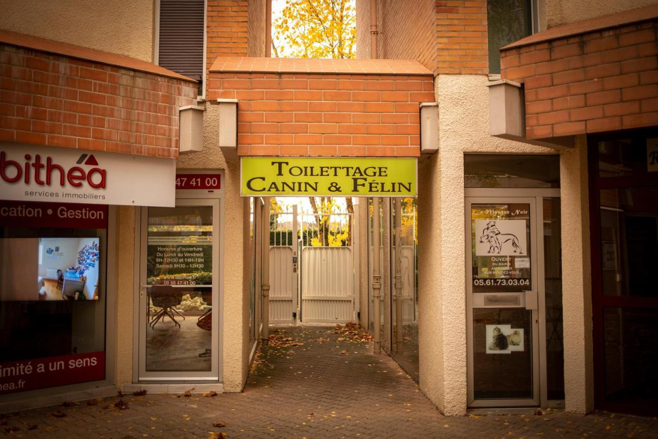 Charmant Studio☆Netflix☆Canal+☆Canal Sat☆Parking☆ Ramonville-Saint-Agne Exterior foto